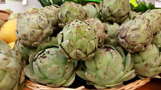 Artichokes vegetable bio