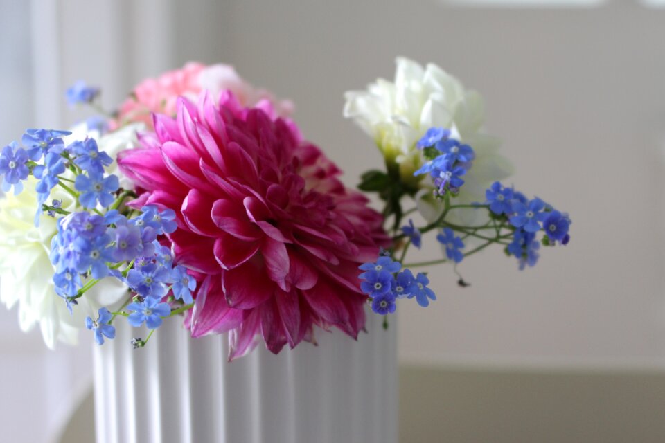 Flower within rose