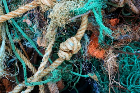 Environment web all