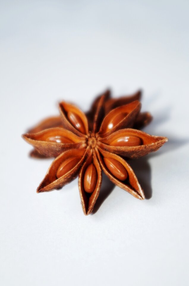 Christmas anise baking