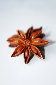 Christmas anise baking