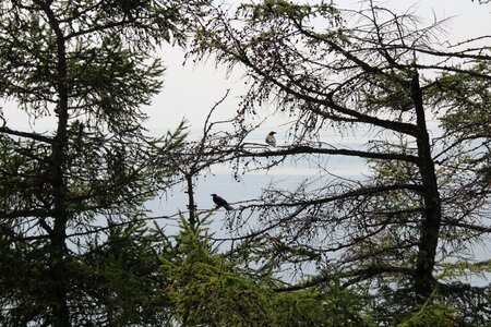 Sky nature blue sky