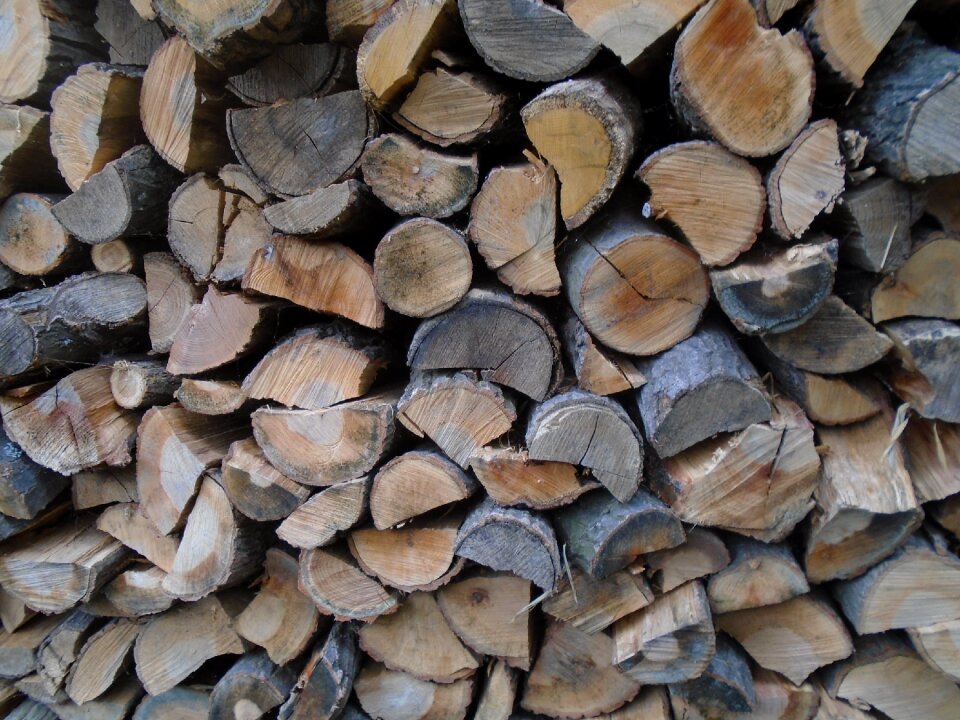 Nature cut firewood