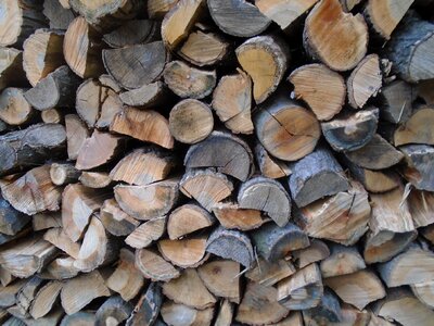 Nature cut firewood
