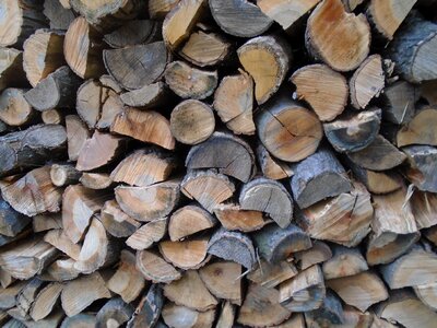 Nature cut firewood photo