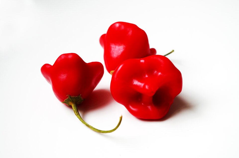 Habanero spicy fresh