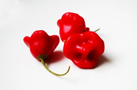 Habanero spicy fresh