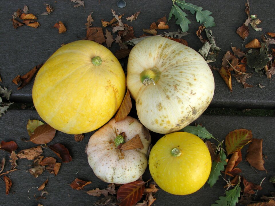 Yellow vegetable