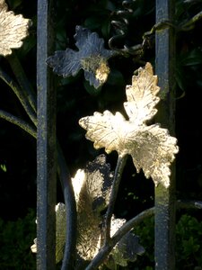 Fence hope sun photo