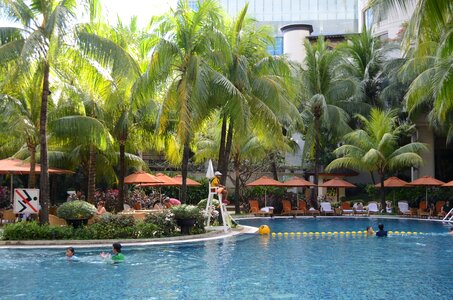 Outdoor pool summer water photo