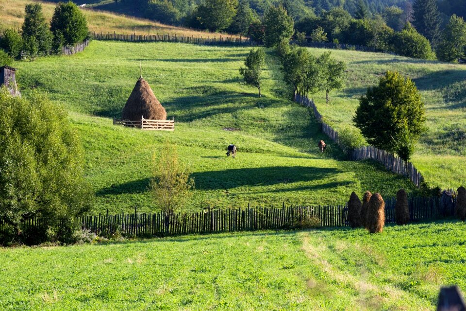Green country