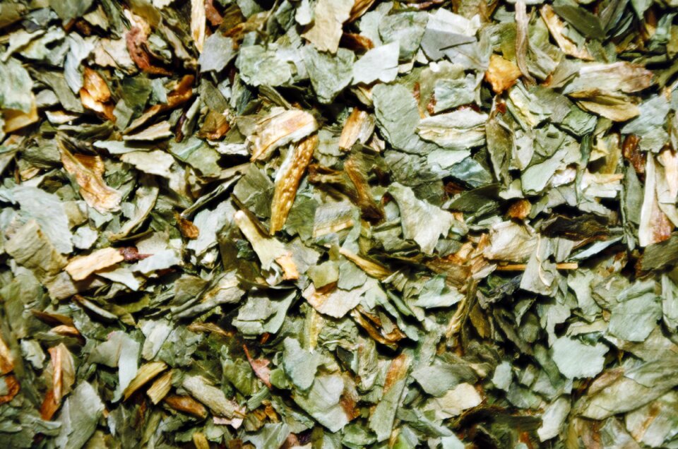 Sliced herb cooking