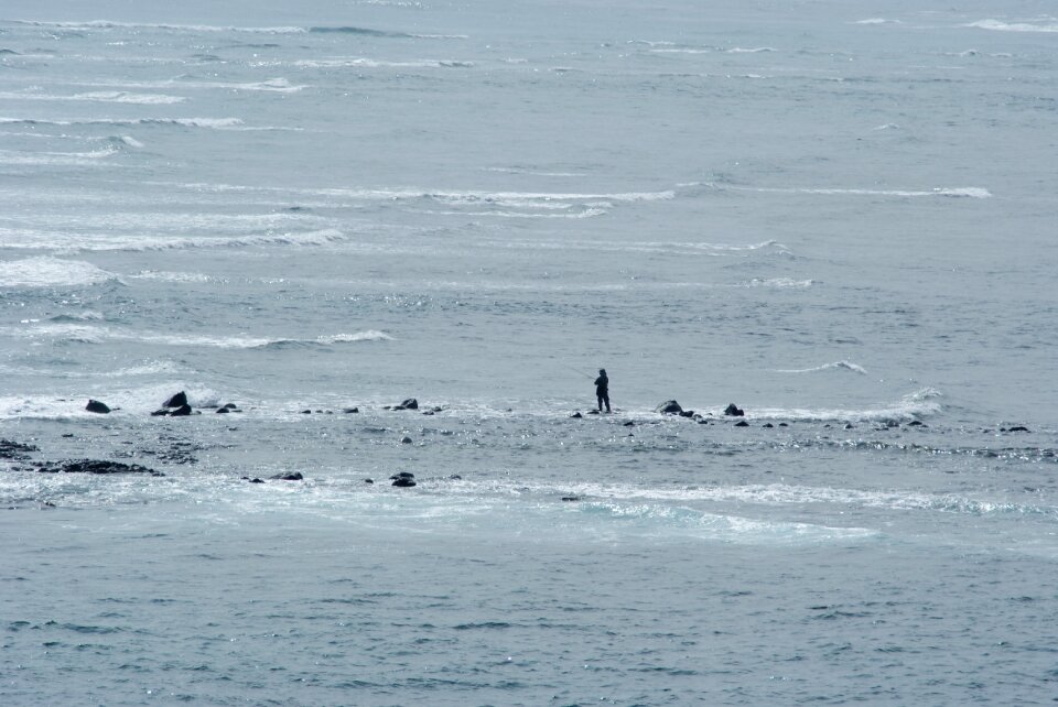Fisher alone nature