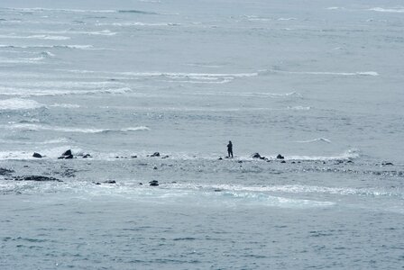 Fisher alone nature