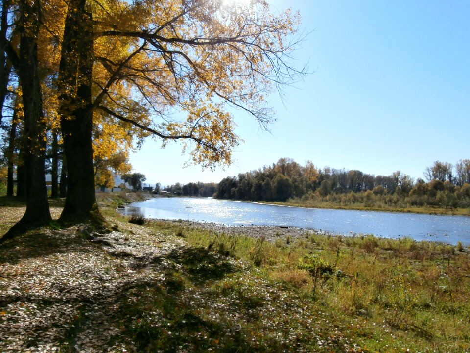 Stroll landscape autumn beach