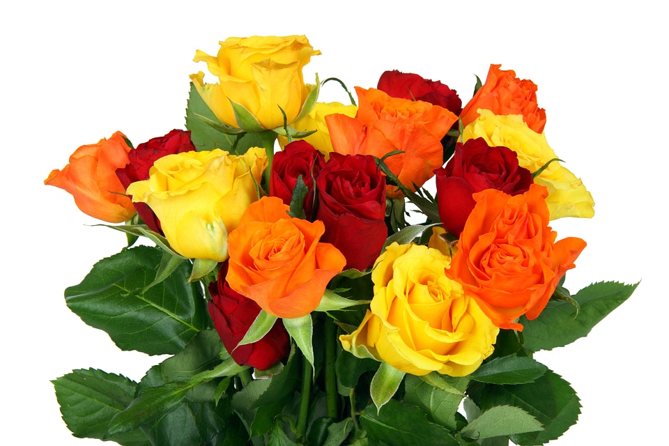 Bouquet color colorful
