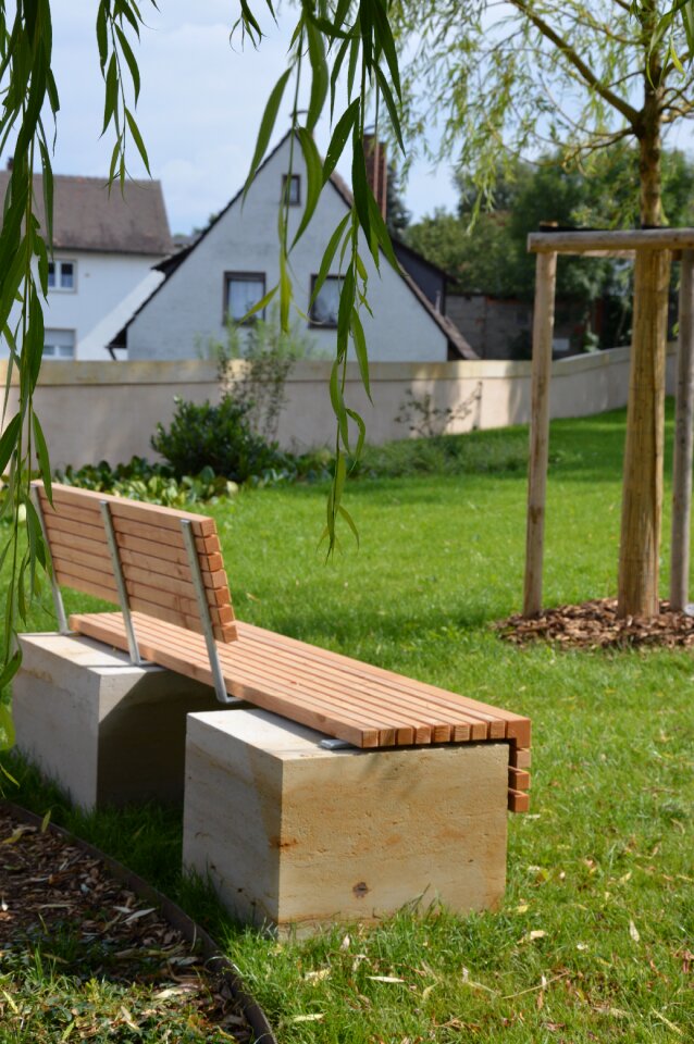 Park bench weeping willow sun