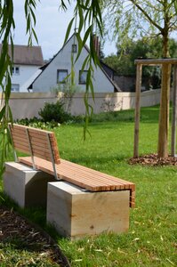 Park bench weeping willow sun photo