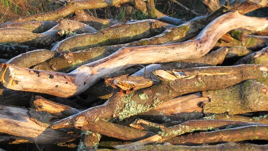 Heap stere cut wood