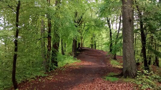 North rhine westphalia landscape germany photo