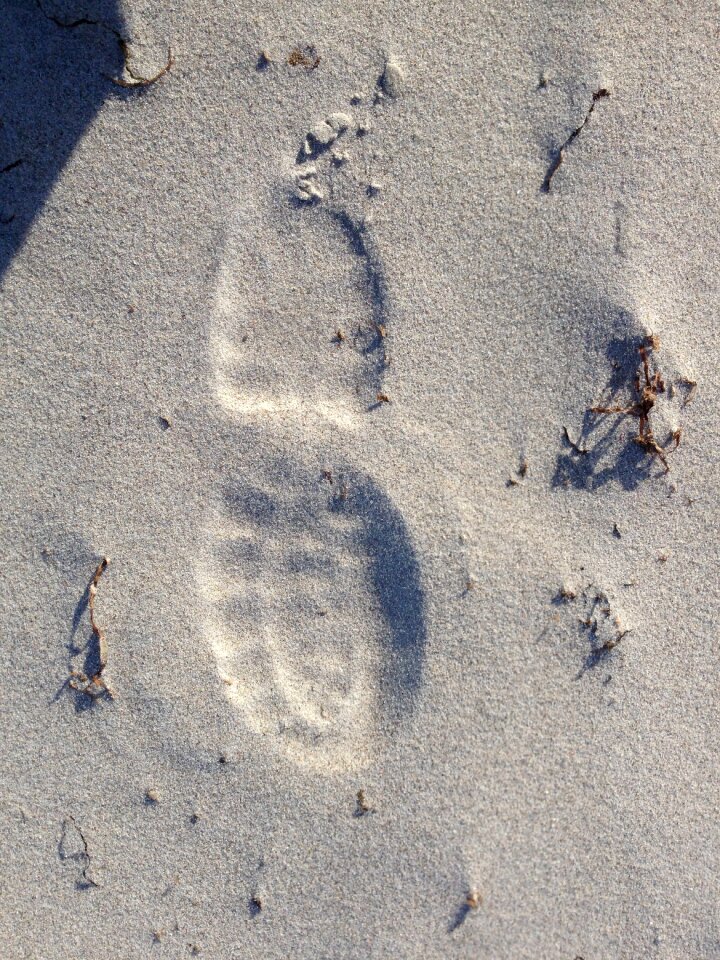 Tracks in the sand shoes male