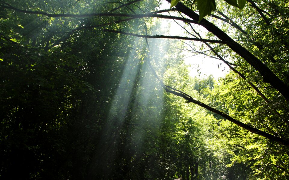 The sun's rays light day