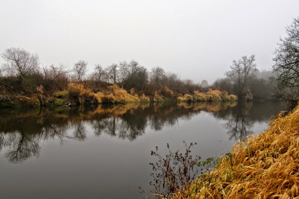 Water reflection in the water autumn on the river