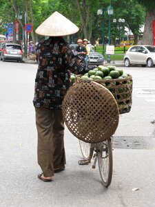 Coconut viet nam bicycle photo