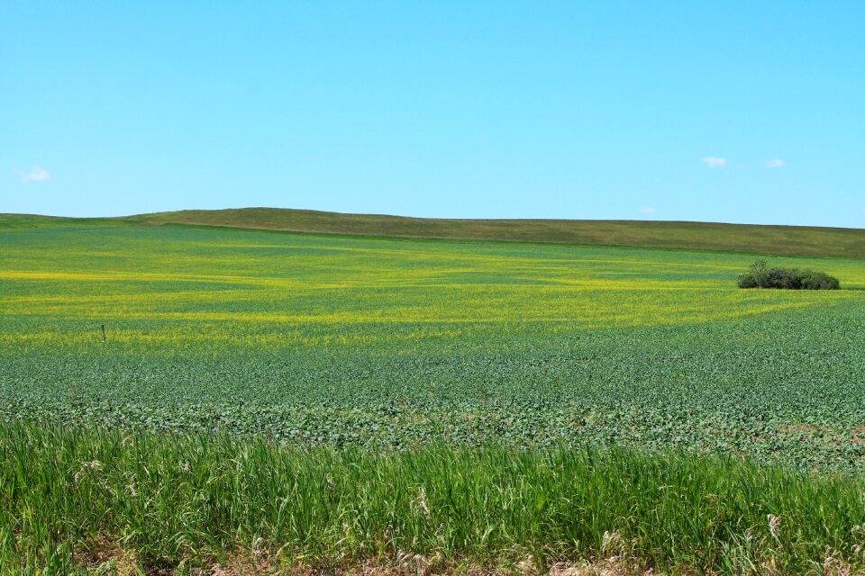 Farmland scenery countryside