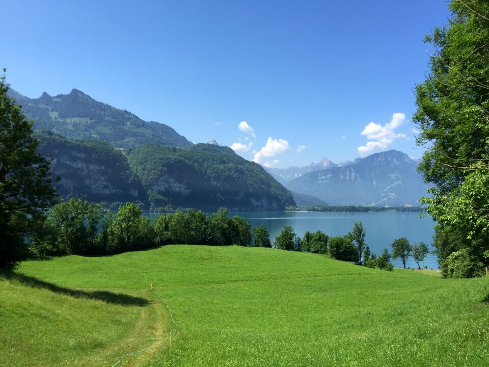 Lake landscape sunny