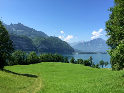 Lake landscape sunny