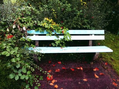 Rest garden bench nature