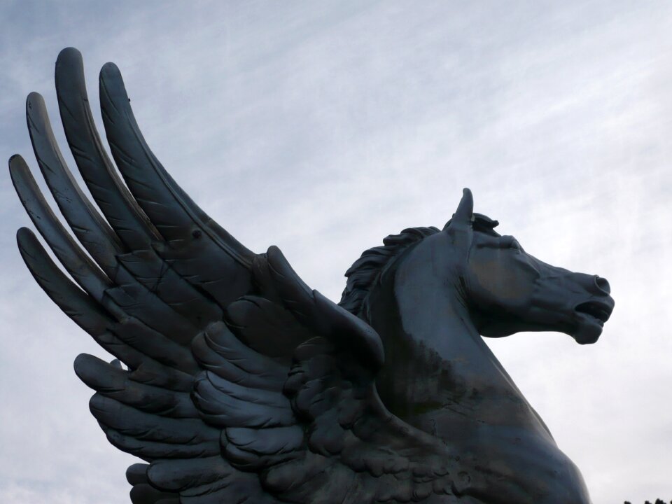 Pegasus say fairy tales