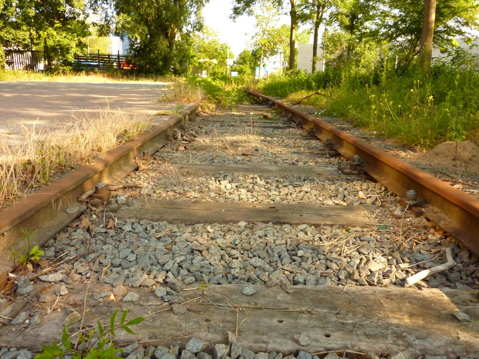Transport leave rust