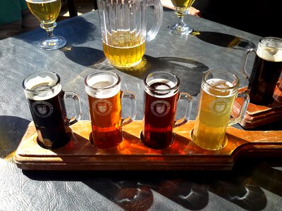 Beer terrace tasting