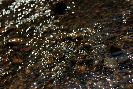 Creek close up