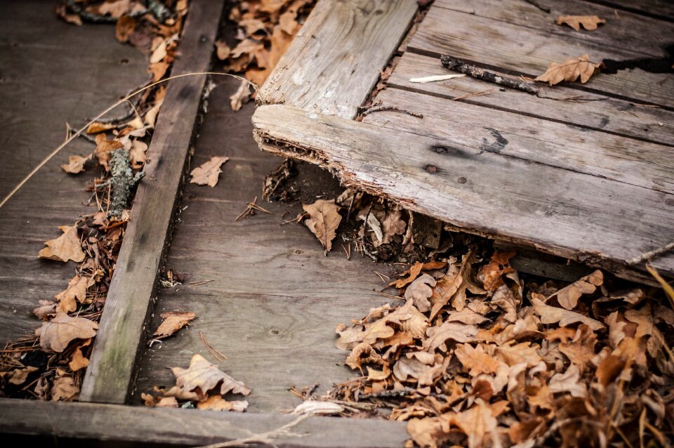 Door leaf wood