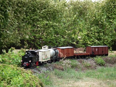 Lgb model train garden photo