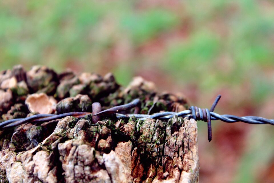 Wiring wood mast photo