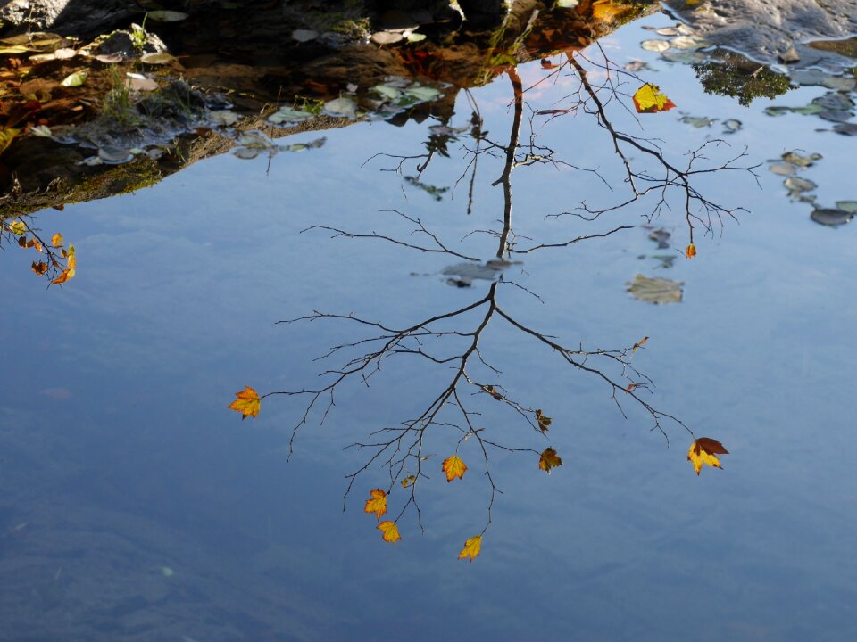 Reflection fall river