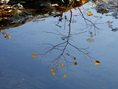 Reflection fall river photo