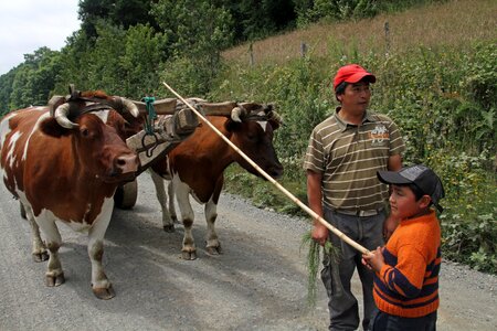 Farmer boy people