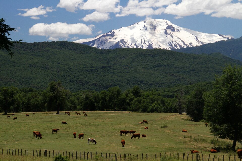 Nature south america mountain