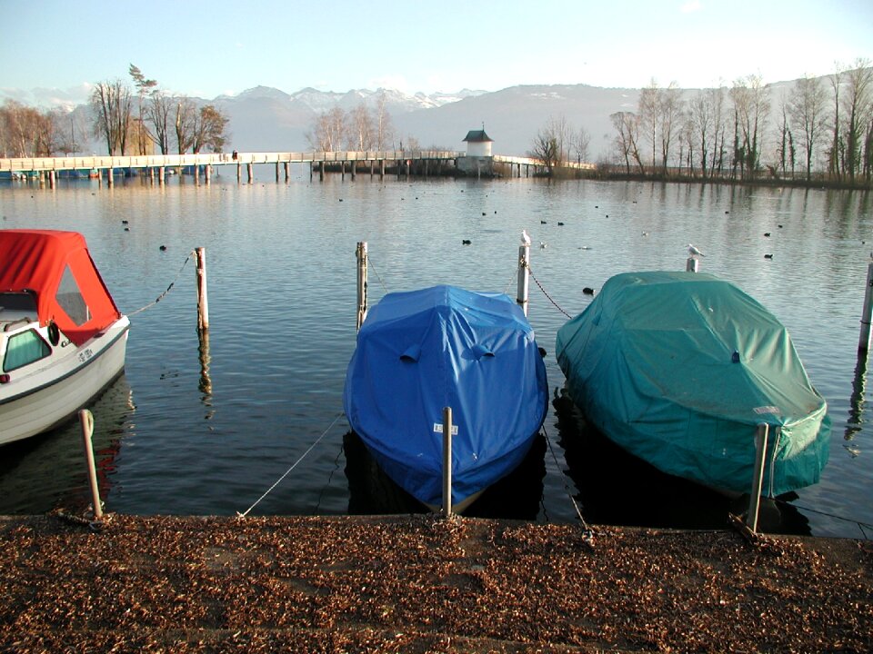 Water nature lake
