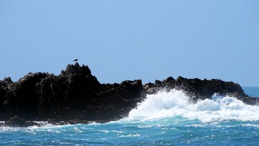 Stone beach ocean