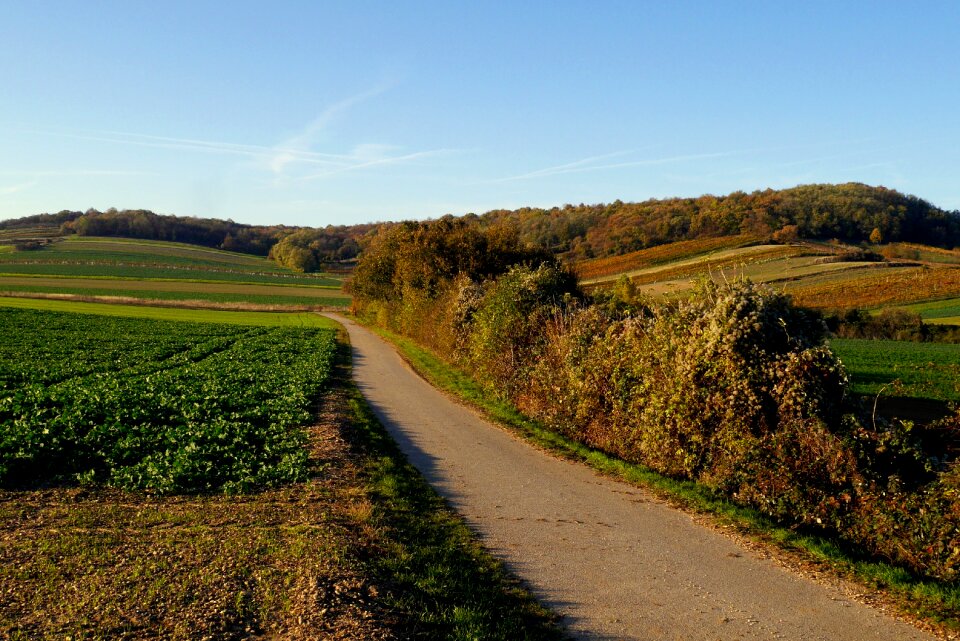 Fields autumn nature