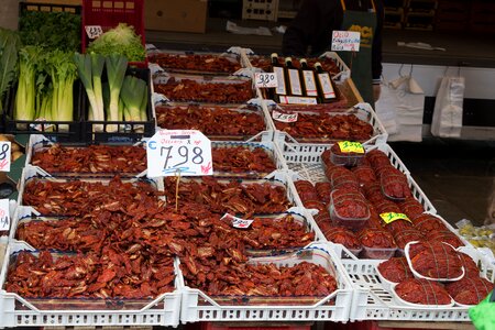 Dried red cook
