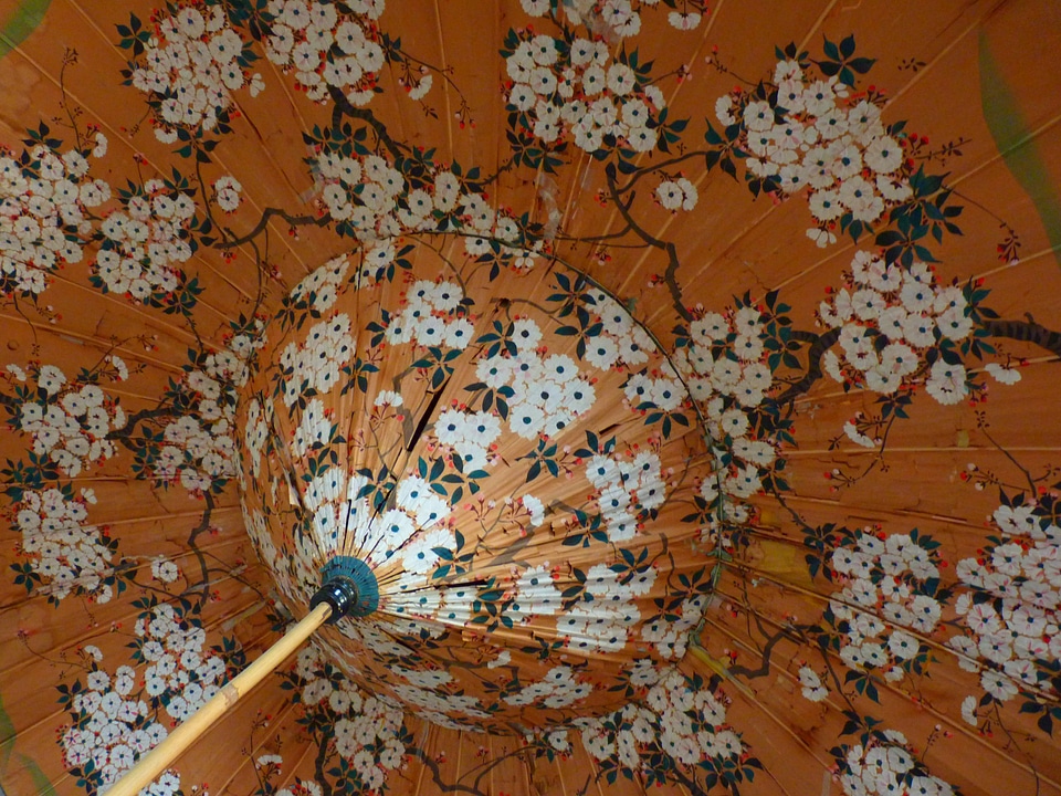 Screen japanese flowers