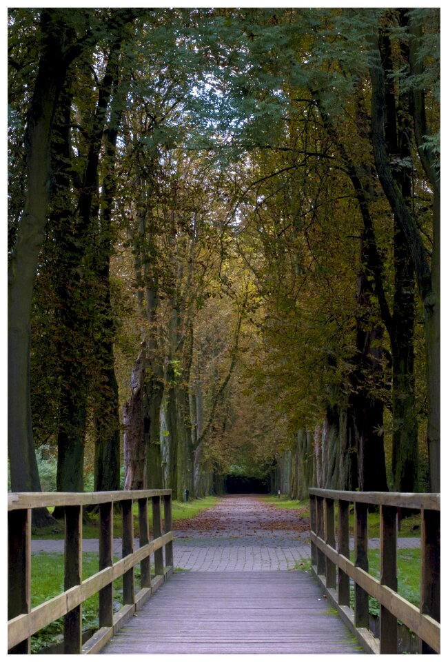 Mechelen free pants park autumn