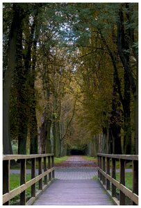 Mechelen free pants park autumn